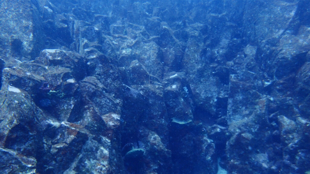 ダイビングスポットの伊豆海洋公園で見れる水中の柱状節理