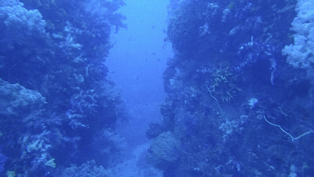 ダイビングスポットの大瀬崎で見たホトケ岩のボートポイント