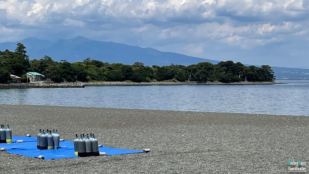 ダイビングスポットの大瀬崎の景色