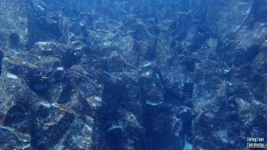 ダイビングスポットの伊豆海洋園にある柱状節理