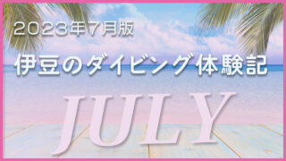 【2023年7月版】伊豆のダイビング体験記：ダイビングスポットの海況レポート