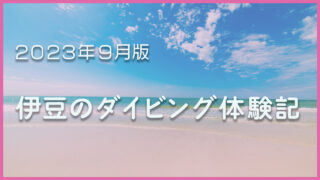 【2023年9月版】伊豆のダイビング体験記：ダイビングスポットの海況レポート