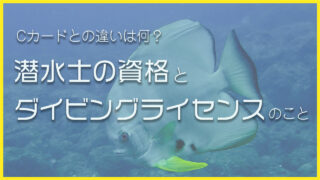 Cカードとの違いは何？潜水士の資格とダイビングライセンスのこと