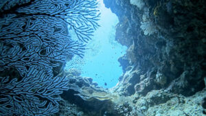 沖縄の慶良間諸島で見た、綺麗な風景