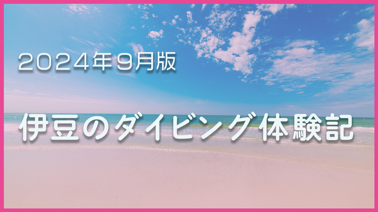 2024年9月の伊豆ダイビング体験記をお伝えします